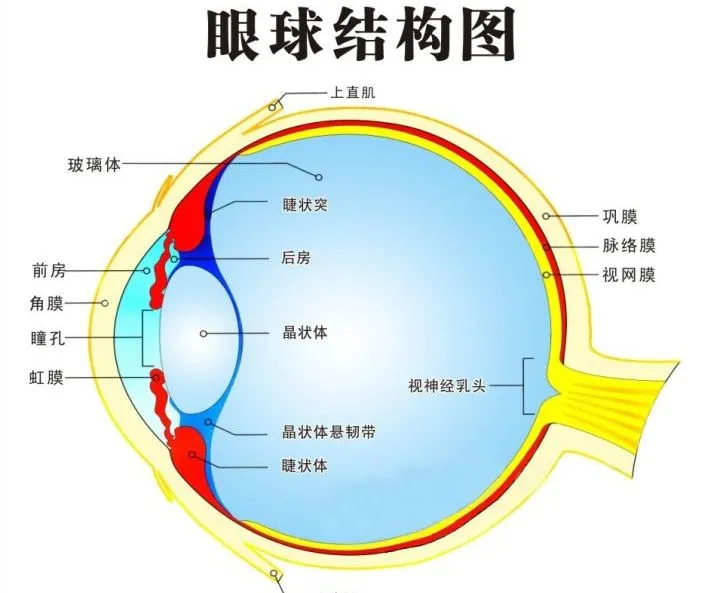 图片211.png