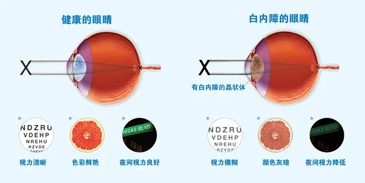图片225.png