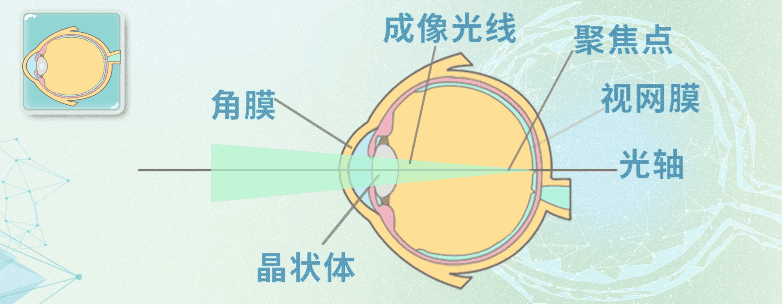 图片237.png