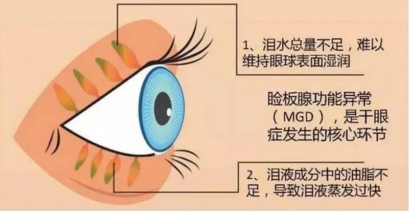 图片243.png