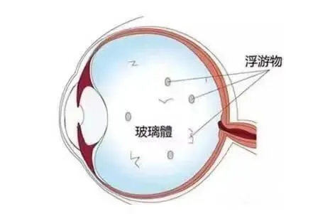图片249.png