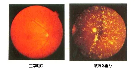 图片251.png