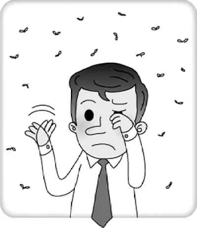 图片252.png