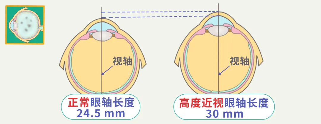 图片267.png