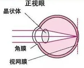 图片275.png