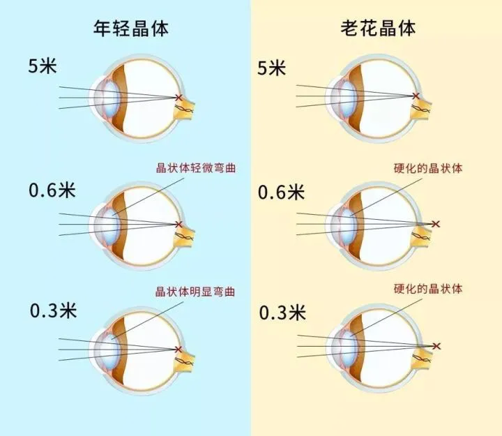 图片276.png