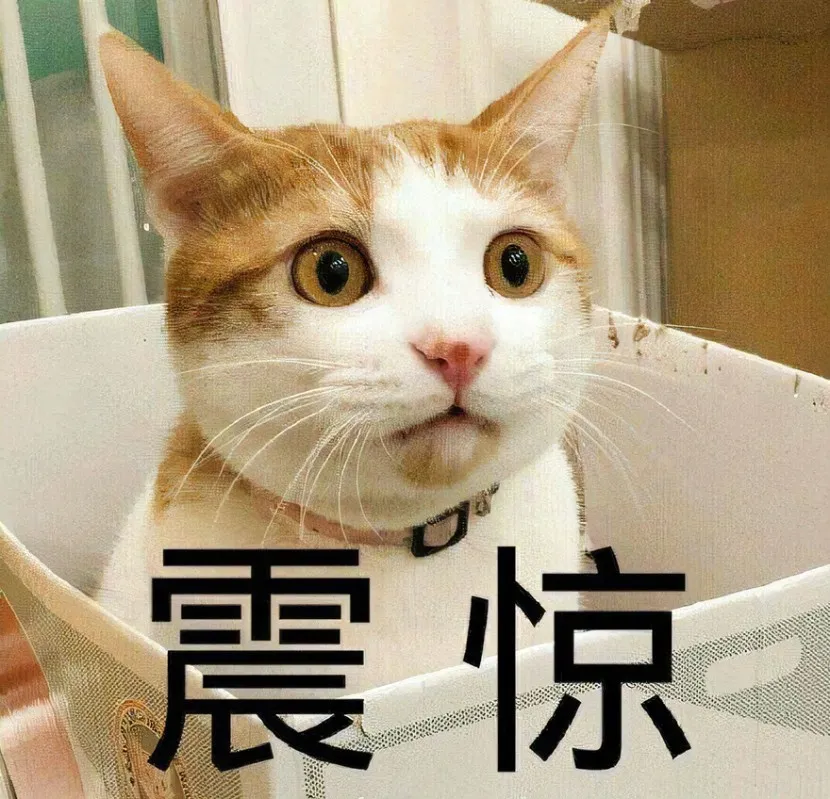 图片315.png
