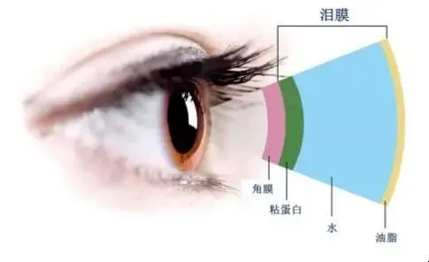 图片344.png