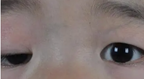 8781509dcd832c52039967cc657b2e5.png