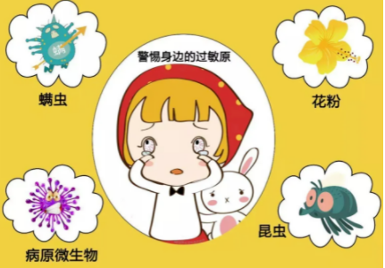 f052e9f9c990f6d3bee116782721e61.png
