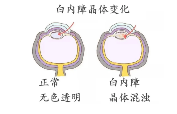 d92d177b27cfa81152ad1f110d8741c.png