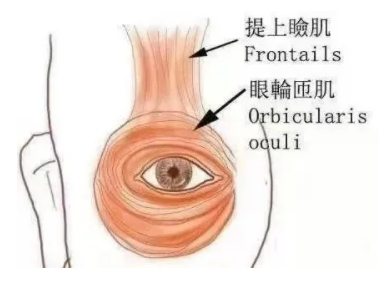 微信截图_20250701150028.png