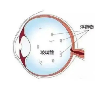微信截图_20250701152927.png