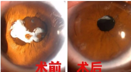 微信截图_20250701153301.png