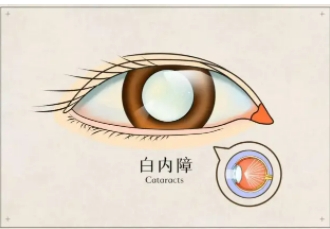 微信截图_20250701154903.png
