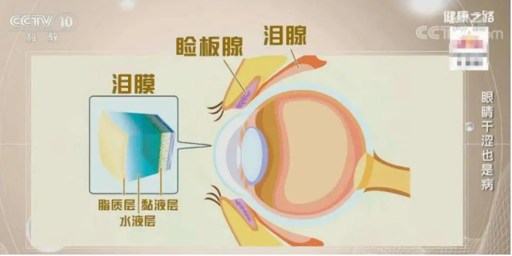 微信截图_20250701163555.png
