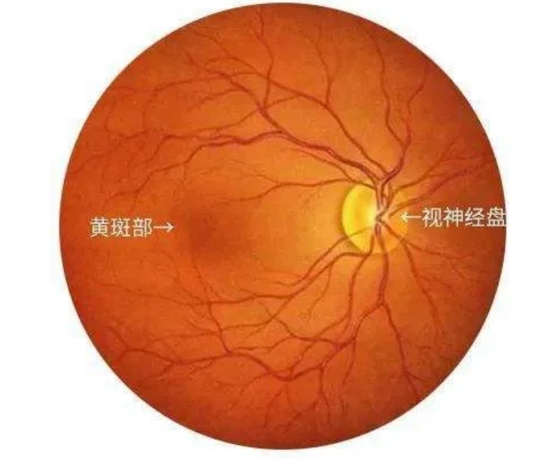 微信截图_20250702103714.png