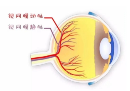 微信截图_20250703094228.png