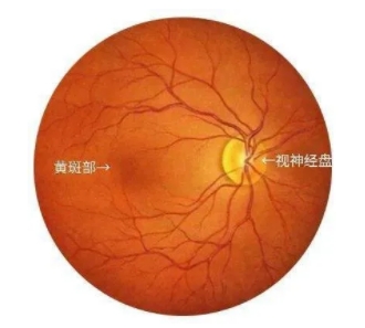 微信截图_20250703095951.png