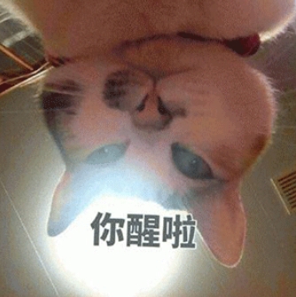微信截图_20250703101415.png