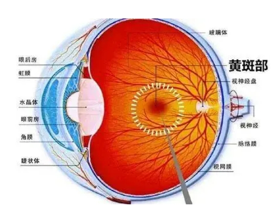 微信截图_20250703103949.png