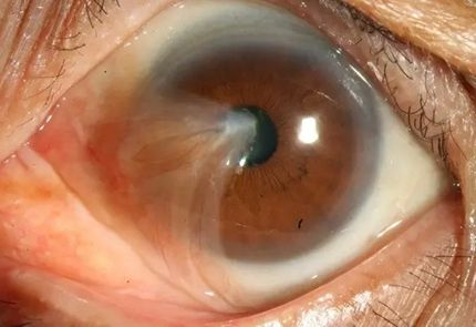 1763373765692569.png 1763373765692569.png