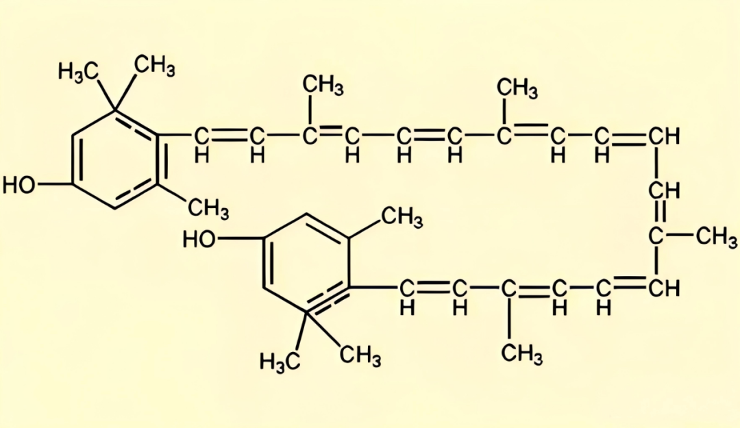 每天盯屏超8小时，你的眼底营养正在悄悄流失！这道“隐形防线”必须补上！