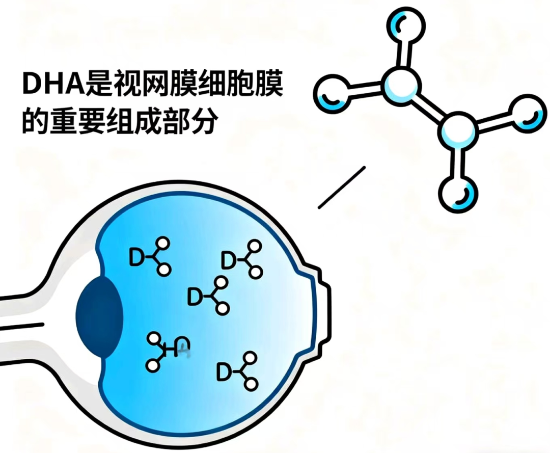 DHA：眼睛的“营养卫士”——科学认识Omega-3对视觉健康的重要作用