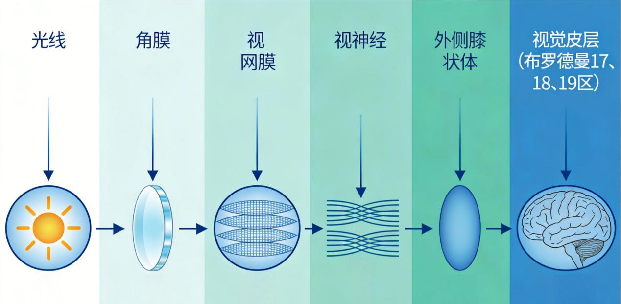 1770690637601315.png 微信图片_2026-02-10_101313_191.png