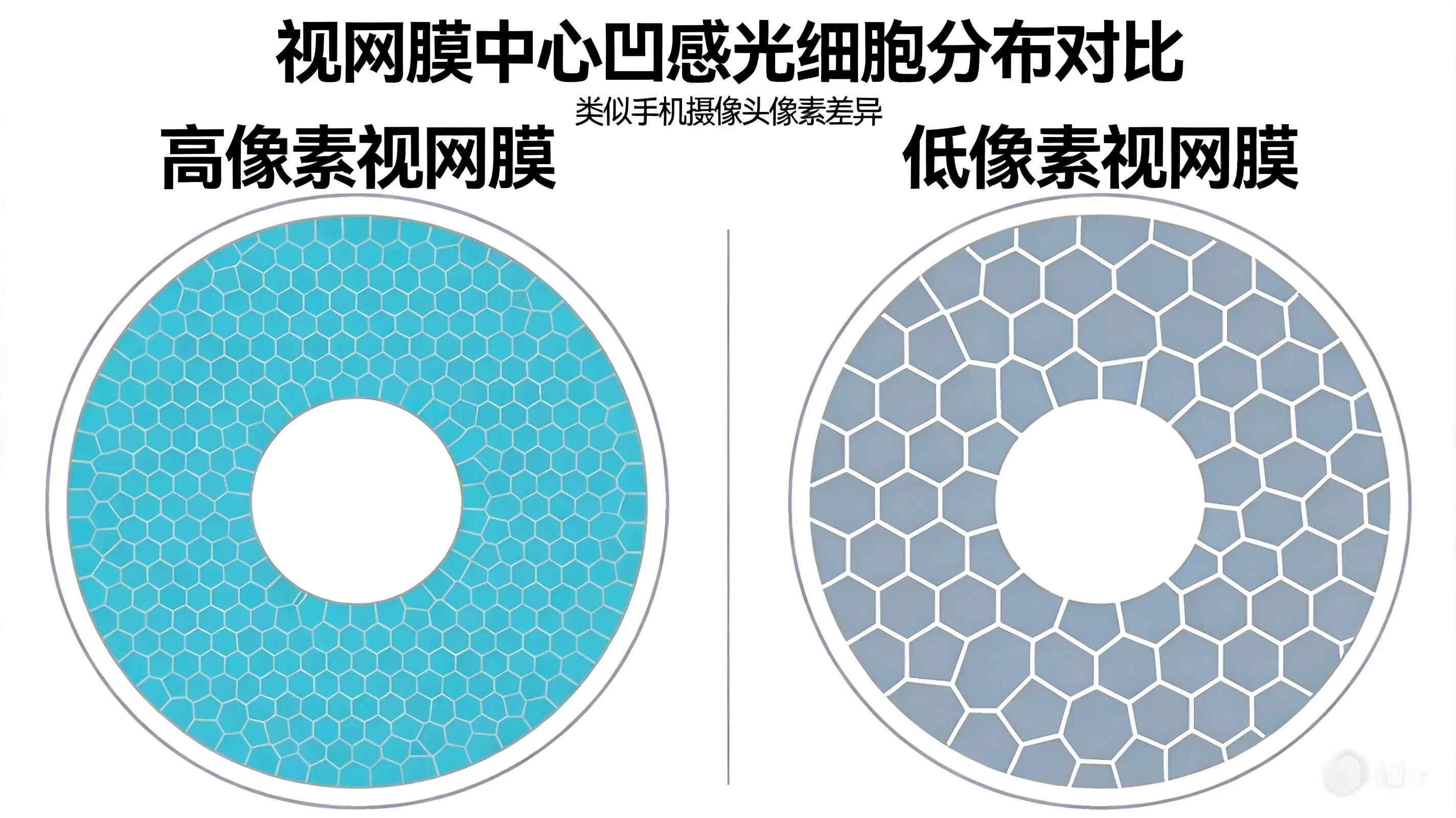 同样的300度,为什么她看1.0,你只能看0.6?配镜单上不会写的5个秘密! 同样的300度,为什么她看1.0,你只能看0.6?配镜单上不会写的5个秘密!